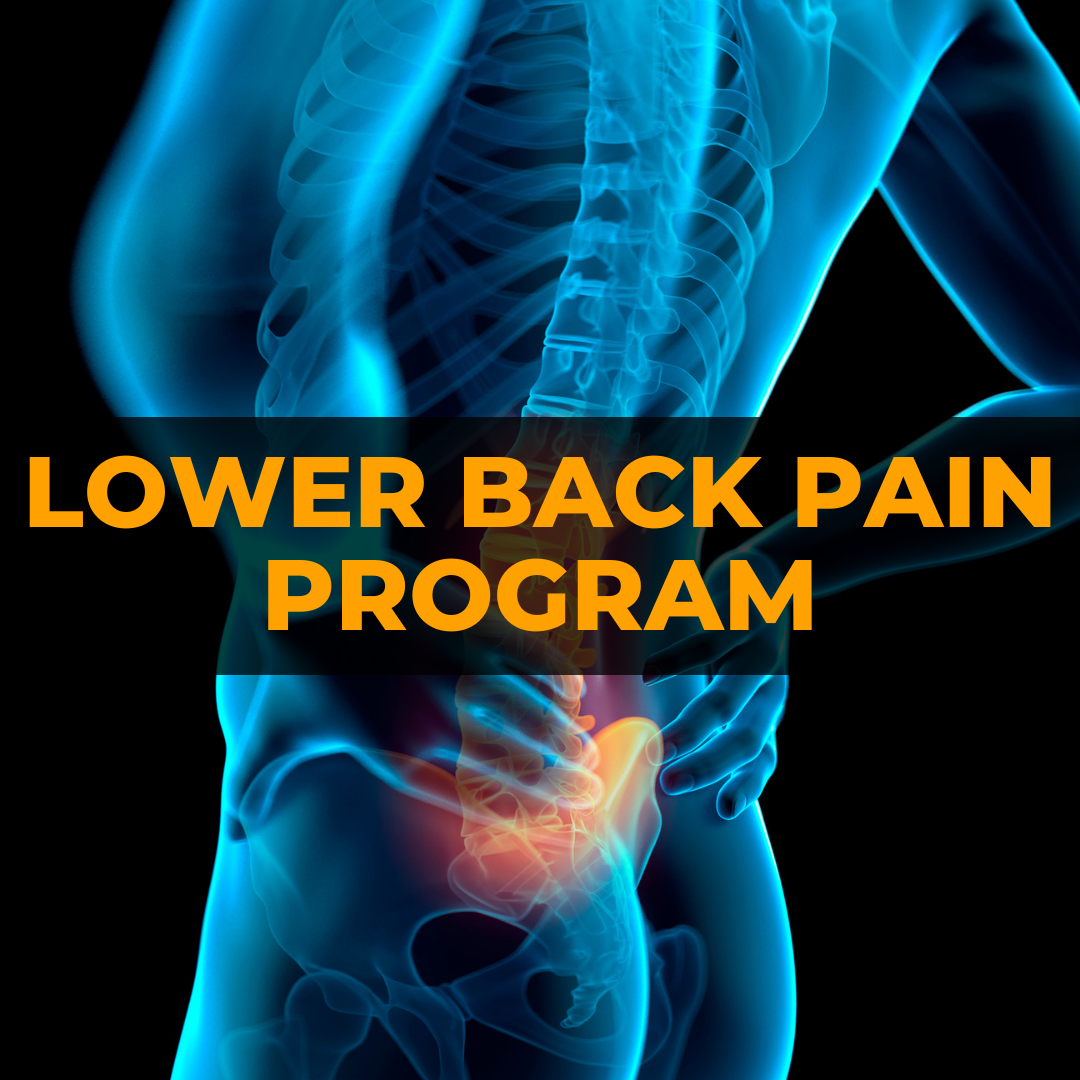 Lower Back Pain Program