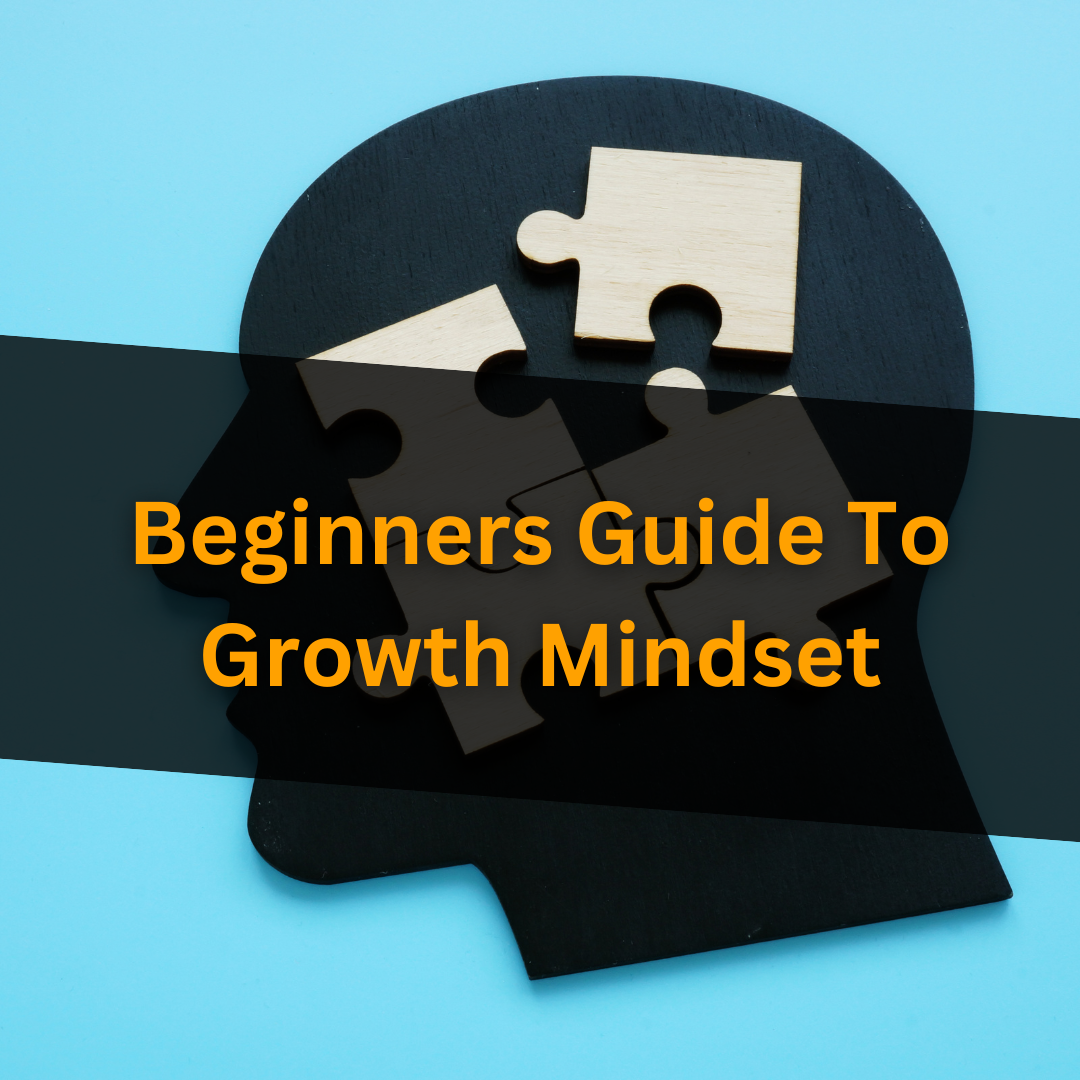 Beginners Guide To Growth Mindset